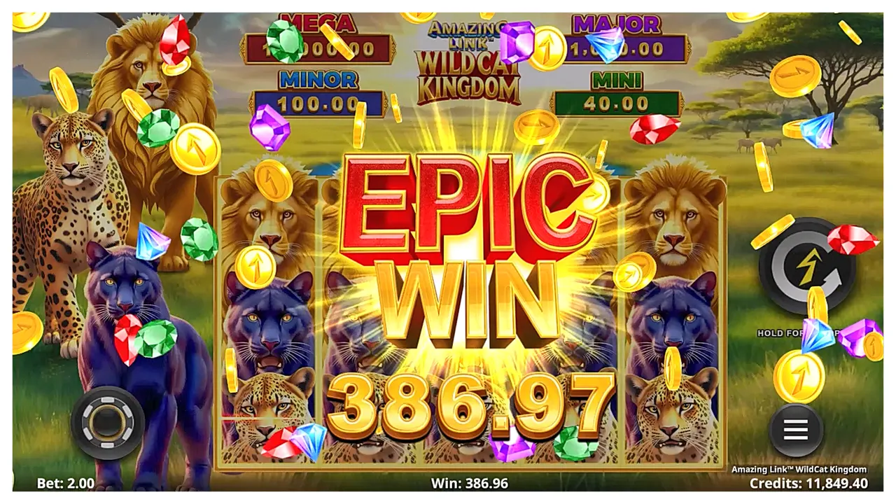 Amazing Link WildCat Kingdom s2