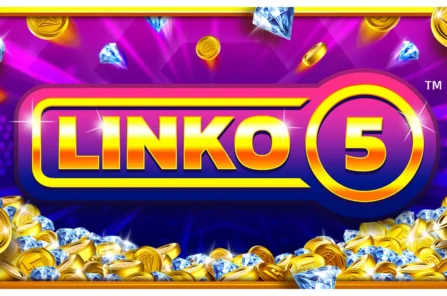 Linko 5 slot cover